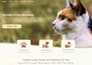 build a wix website for pet shops website wix veterinary clinics website